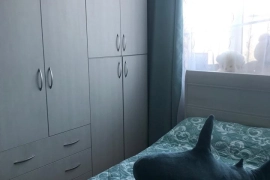 2-х ком распашонка 52,9 м2 (4 эт)